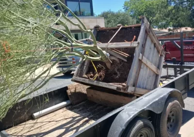 Affordable Tree Service